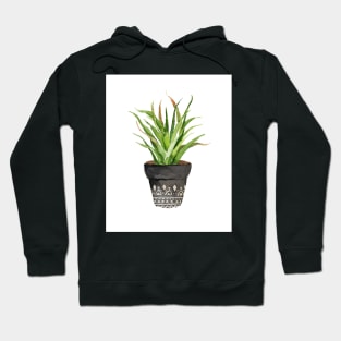 Plant pot succulent cacti watercolor Hoodie